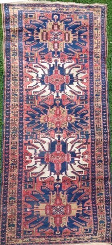 Alter adler kazak kasak - kazak, /